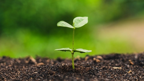 ข่าวล่าสุดของบริษัทเกี่ยวกับ ออสเตรเลียเตือน: ฉลากที่“ ปรับได้” ทำให้เข้าใจผิดทำให้เกิดการปนเปื้อนพลาสติกขนาดใหญ่