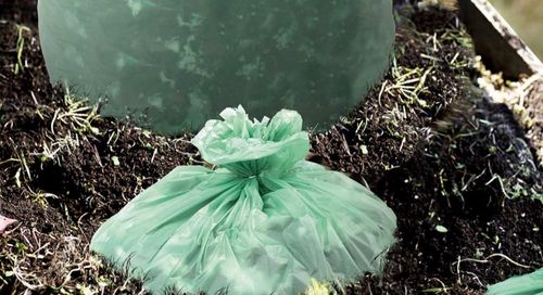 ข่าวล่าสุดของบริษัทเกี่ยวกับ ถุงพลาสติกที่ย่อยสลายได้ทางชีวภาพคืออะไร? การหักล้างความเชื่อผิดๆ